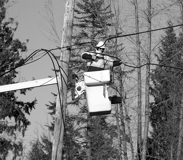 State Route 169 between Enumclaw and Black Diamond was closed for three days after a Douglas fir blew down across the highway at about 10 p.m. Nov. 11 taking out power lines and telephone poles on both sides of the road. Puget Sound Energy lineman worked day and night to repair lines and restore power.