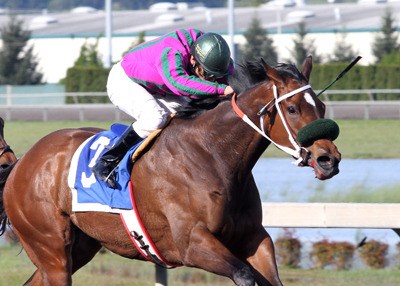 Feeling Fancy wins Federal Way Handicap for trainer Frank Lucarelli.