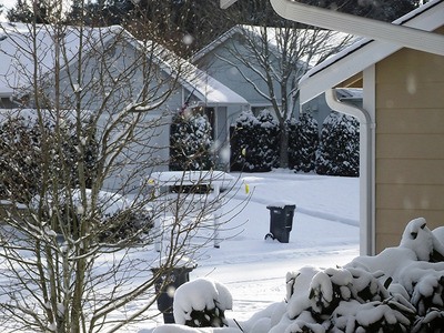 This photograph was taken in the Diamond Hills development in Maple Valley during the snowstorm Nov. 22 and 23.