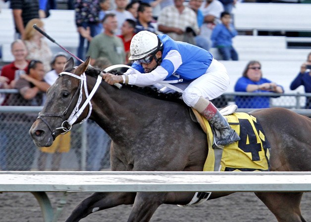 Ron & Rosalie Warren's Emerald Derby winner Jebrica faces older horses Sunday in the $100