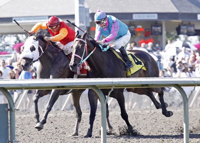 Assessment and Gallyn Mitchell (left) defeat Noosa Beaxch and Ricky Frazier in the $50