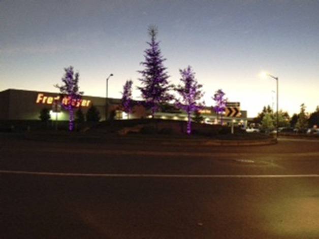 Trees are decorated for the Purple Light Nights event.