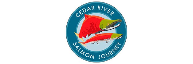 Cedar River Salmon Journey