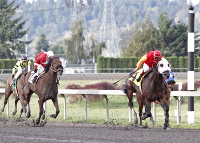 Assessment and jockey Gallyn Mitchell won the $21