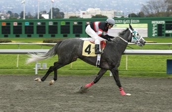 Mizzen You romps in the second race at Golden Gate Fields