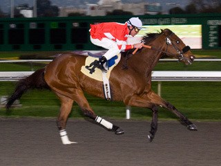 Taif wins at Golden Gate Fields Dec. 2.