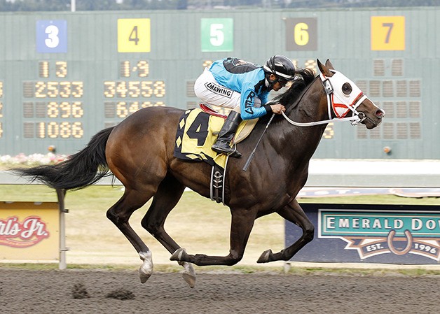 Trackattacker sets a stakes record of 1:08.31 while winning the $50