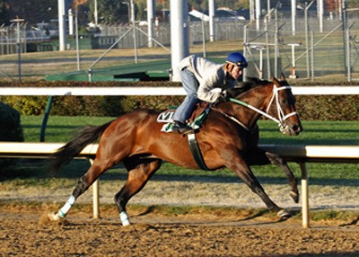 Atta Boy Roy and jockey Calvin Borel in a morning workout at Churchill Downs