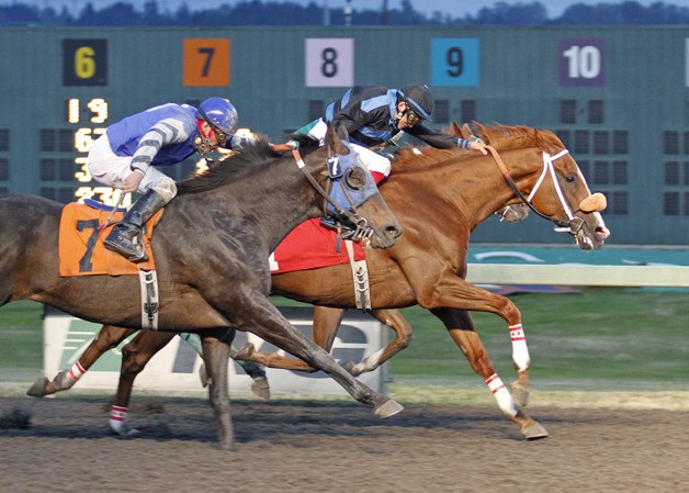 Who's Your Next Ex and jockey Deborah Hoonan-Trujillo hold off He's Flyin Home and Overtime Victory (No. 7) in the Ashbaugh Beal Purse for 3-year-olds and up at Emerald Downs.