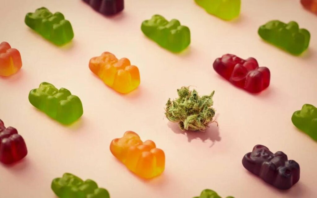 Natures Leaf CBD Gummies Review - Should You Buy? | Covington-Maple ...