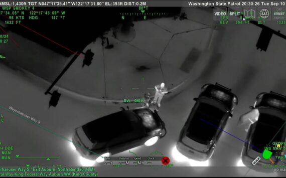 The suspect being arrested caught by the WSP surveillance aircraft. Screenshot from WSP Youtube.